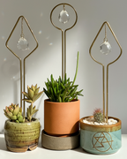 Plant Sun Catcher Stake Trio Bundle